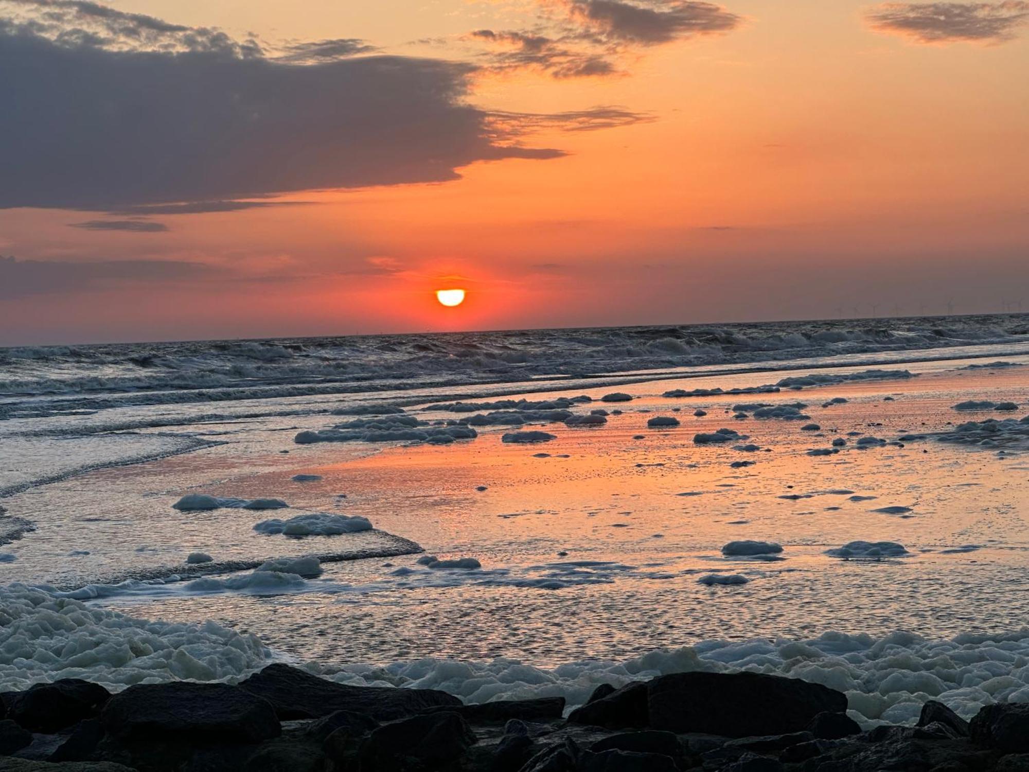 Wangerrose - Familienwohnung Fuer Gross Und Klein Und Hundefreunde Wangerooge Ngoại thất bức ảnh